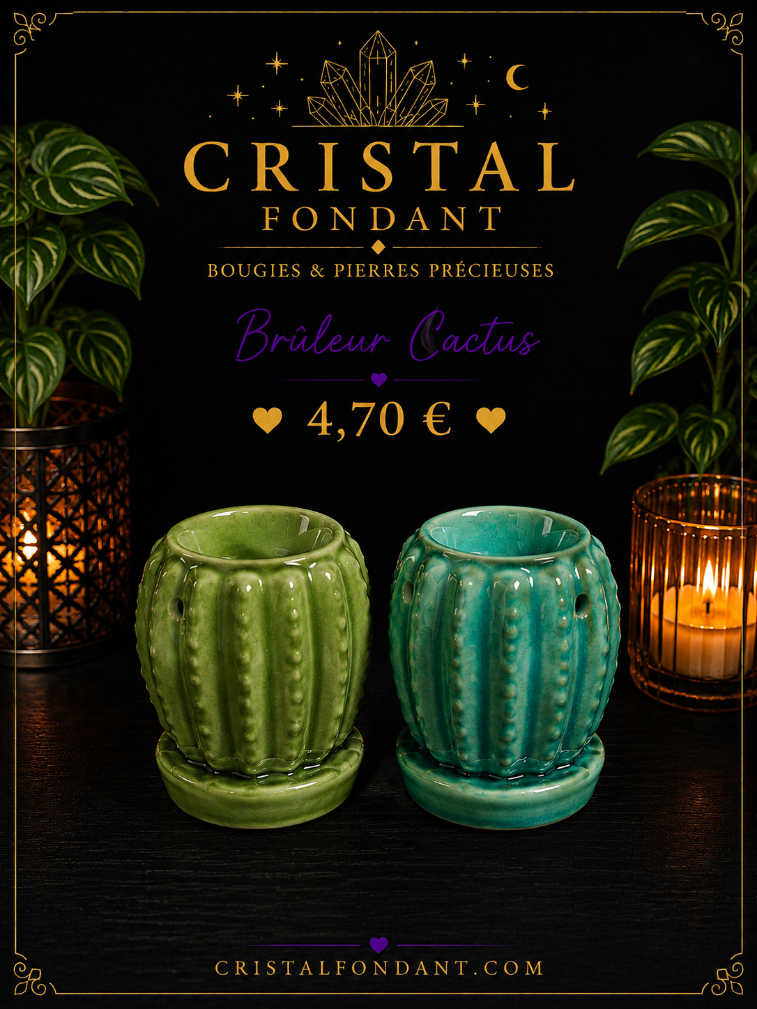 Petit Brûleur cactus